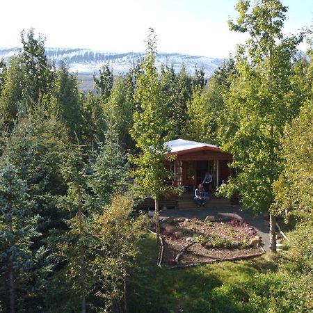 Bakkakot 1 - Cozy Cabins in the Woods Akureyri Zewnętrze zdjęcie