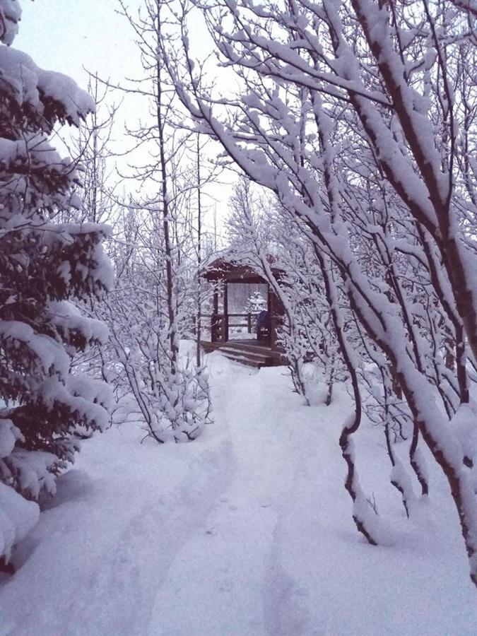 Bakkakot 1 - Cozy Cabins in the Woods Akureyri Zewnętrze zdjęcie