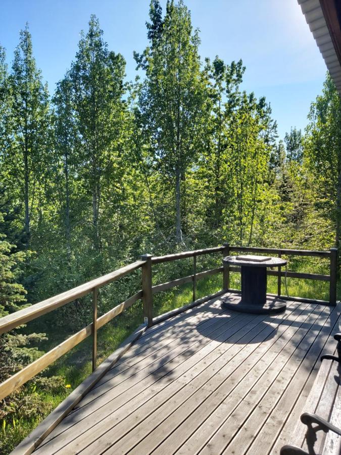 Bakkakot 1 - Cozy Cabins in the Woods Akureyri Zewnętrze zdjęcie